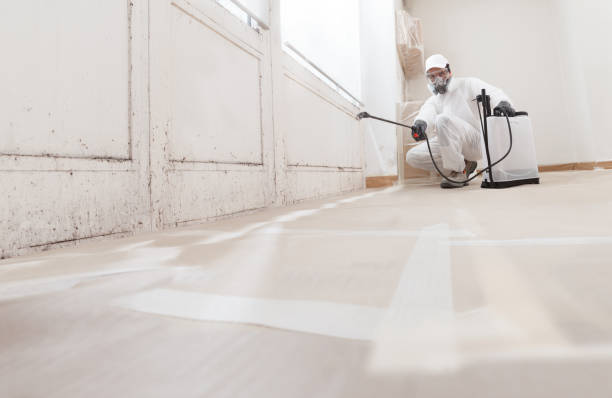 24/7 Emergency Crawl Space Mold Remediation experts in Flint Hill, VA
