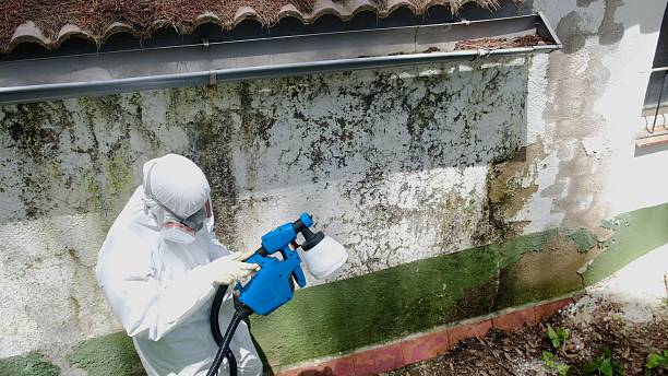 Top rated local Crawl Space Mold Remediation specialists in Flint Hill, VA